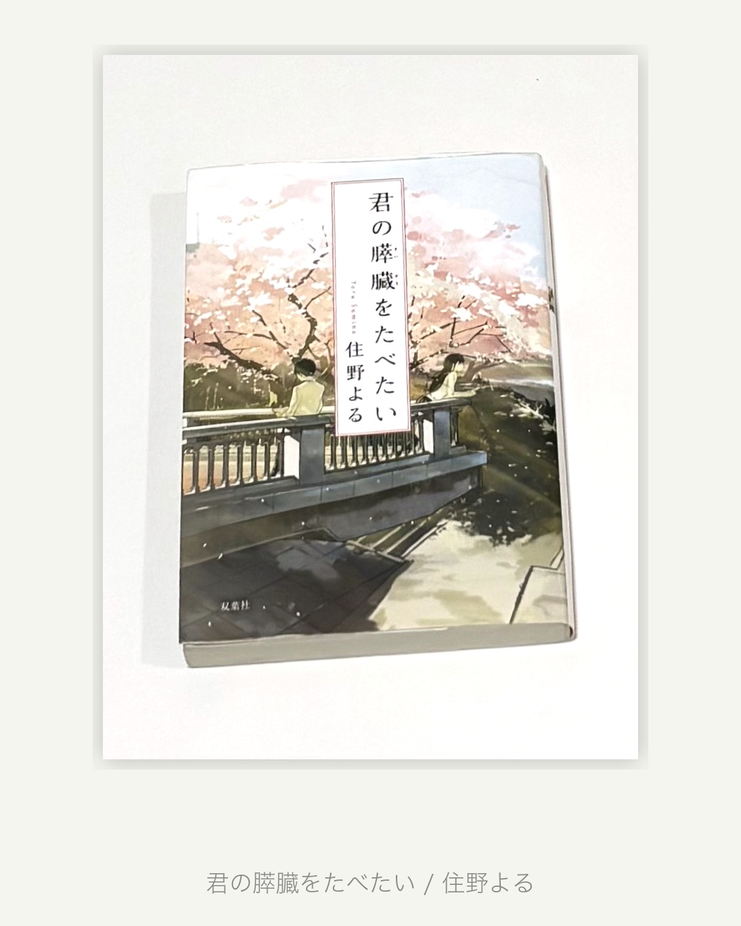 『君の膵臓をたべたい』感想｜“今を生きること”を問いかける青春小説