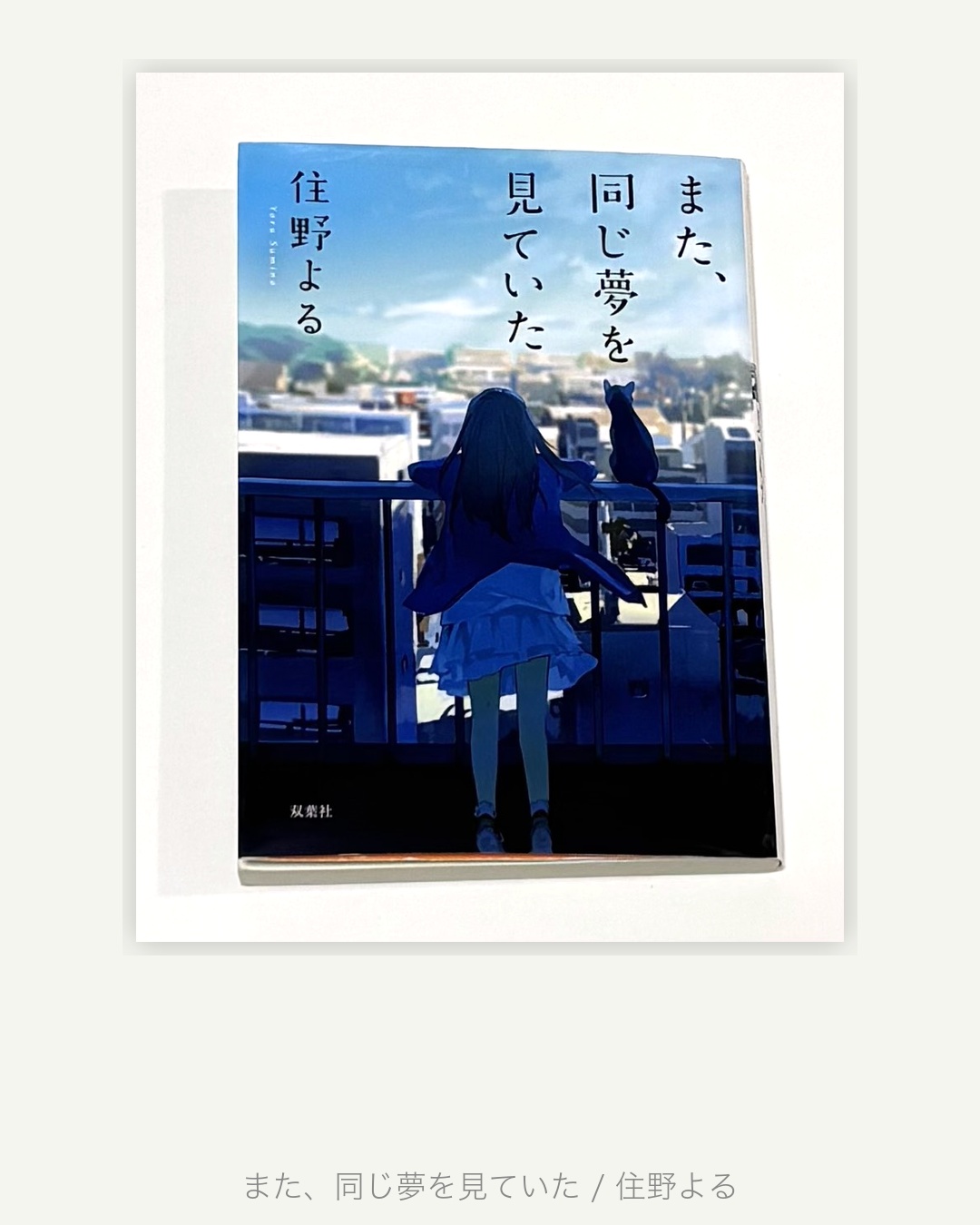 「また、同じ夢を見ていた」感想・あらすじ 〜「幸せとは何か」を静かに問いかける物語〜